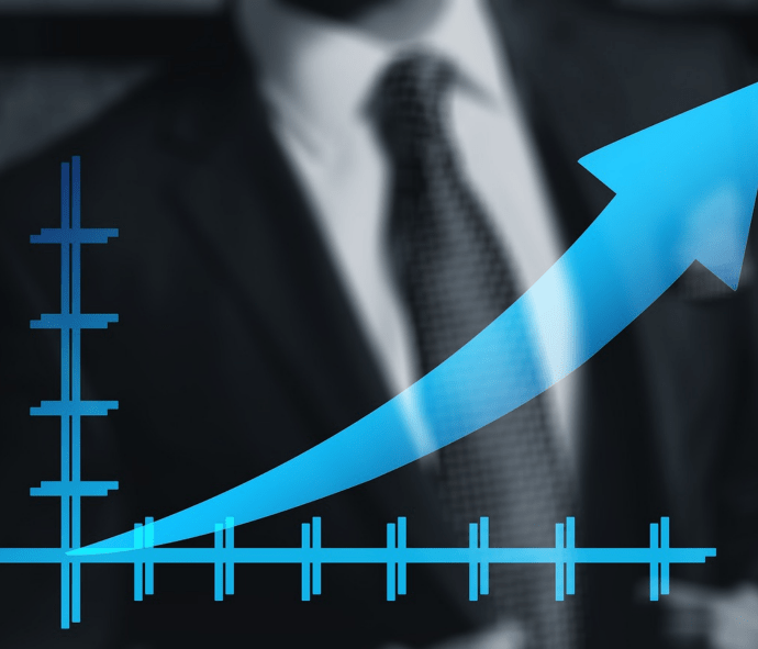 FUTURE GOALS OF THE COMPANY